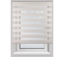 Рулонная штора PRAKTO Day&Night 160х175см белый 59971575