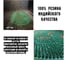 Резиновый придверный коврик ComeForte FRG 40x60 см Green овал GM-3004 4
