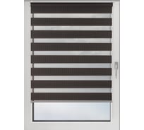 Рулонная штора PRAKTO Day&Night 120х160см темно-серый 8311916