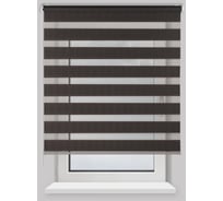 Рулонная штора PRAKTO Day&Night 180х175см темно-серый 8311947