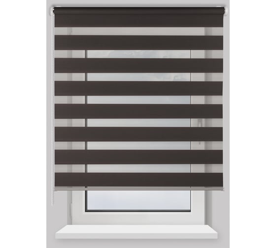 Рулонная штора PRAKTO Day&Night 180х175см темно-серый 8311947 1