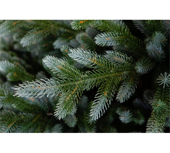 Ель CRYSTAL TREES Изумрудная Эдит 225 см KP50225