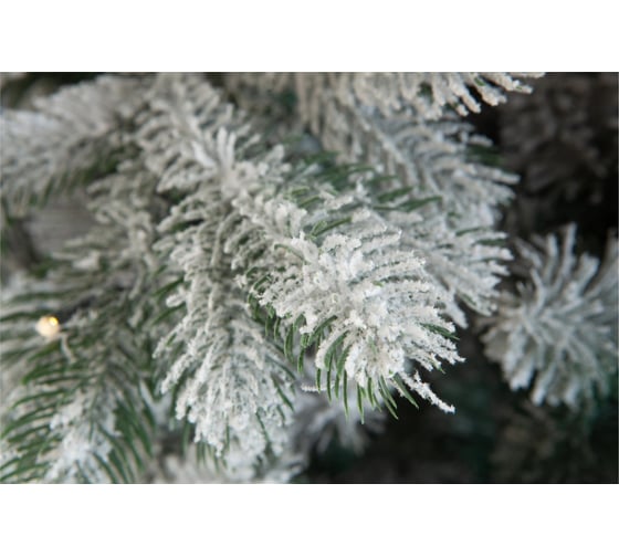 Ель CRYSTAL TREES Мольвено в снегу с вплетенной гирляндой, 215 см KP7215SL