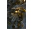 Ель CRYSTAL TREES Персея в снегу с вплетенной гирляндой, 215 см KP11215SL 4