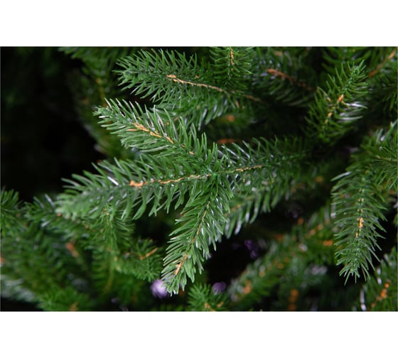 Ель CRYSTAL TREES Персея 215 см KP11215