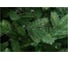 Ель CRYSTAL TREES Савойя 240 см KP13240 2