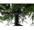 Ель CRYSTAL TREES Савойя 270 см KP13270 6