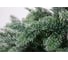 Ель CRYSTAL TREES ВИСКРИ заснеженная в мешке 210 см KP19210 3