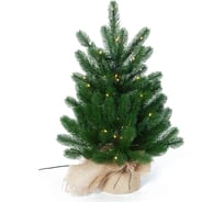 Ель CRYSTAL TREES Бергамо с вплетенной гирляндой 60 см KP3060L