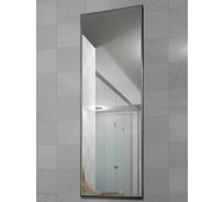 Настенное зеркало Мебелик Сельетта-5 в раме, глянец серебро 1500х500х9 4881