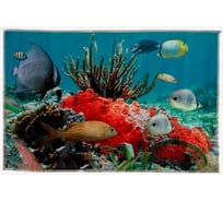 Коврик Доляна Коралловый риф 40х60 см 2353286