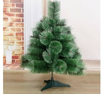 Кедр Зимнее волшебство седина, 60 см, d иголок 10 см, d нижнего яруса 50 см, 35 веток 701394