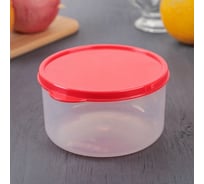 Круглый пищевой контейнер Доляна 0,5 л, красный 1333800