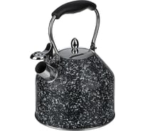 Чайник стальной VETTA 2.7л Терра, индукция 847-120