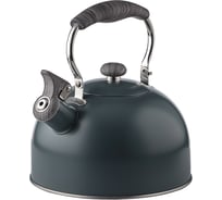 Чайник стальной VETTA 2.2л, Ливорно, индукция 847-124