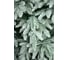 Заснеженная искусственная ель BEATREES Polaris 2.4 м 1040724 4