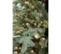 Искусственная ель BEATREES Magnolia 3.6 м с LED гирляндой, 2200 ламп, теплый желтый 1040936ЛЖ 2