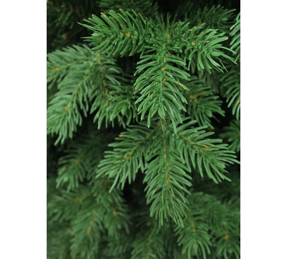 Искусственная ель с LED гирляндой BEATREES Victoria 3.6 м 1041036ЛЖ