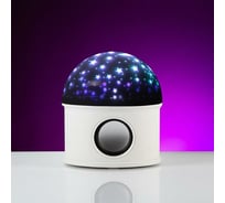 Световой прибор Luazon Звездное небо, d=11 см, 220V,Bluetooth,съемная полусфера, музыка, реагирование на звук, RGB 6978437