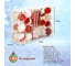 Набор ёлочных шаров Winter Glade, пластик, красный/белый микс, 51 шт в упаковке 90251G309 3