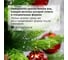 Новогодняя искусственная ель Золотая сказка Premium 150 см, литой ПЭТ, зеленая 591310 9
