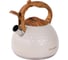 Чайник Willmark WTK-4122SS (3л, со свистком, с крышкой, нейлоновая ручка, техн, Easy spout open) (Кремово-белый) 2001459 3