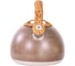Чайник Willmark WTK-4022SS (3л, со свистком, с крышкой, нейлоновая ручка, техн. Easy spout open) (Коричневый) 2001457 4