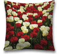 Декоративная наволочка JoyArty sl_10332