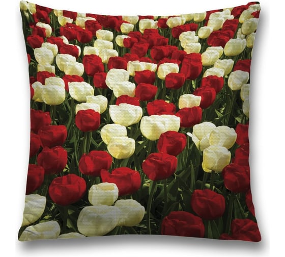 Декоративная наволочка JoyArty sl_10332 1