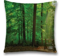 Декоративная наволочка JoyArty sl_10400