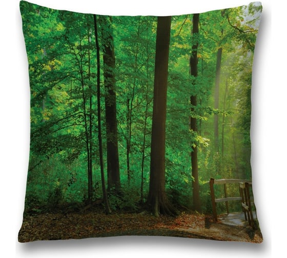 Декоративная наволочка JoyArty sl_10400 1