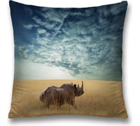 Декоративная наволочка JoyArty sl_10448