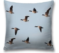 Декоративная наволочка JoyArty sl_10467