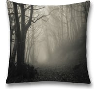 Декоративная наволочка JoyArty sl_10479