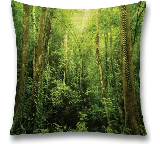 Декоративная наволочка JoyArty sl_11423