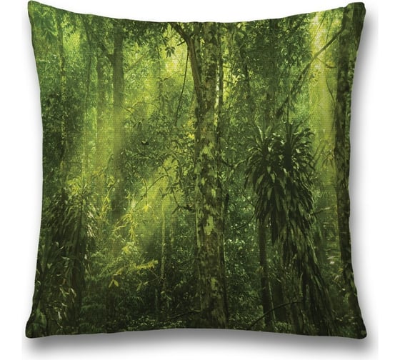 Декоративная наволочка JoyArty sl_11425