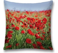 Декоративная наволочка JoyArty sl_106000