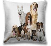 Декоративная наволочка JoyArty sl_10681