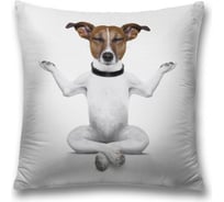 Декоративная наволочка JoyArty sl_10671