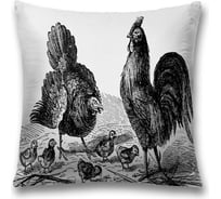 Декоративная наволочка JoyArty sl_10761