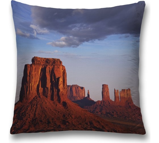 Декоративная наволочка JoyArty sl_10870