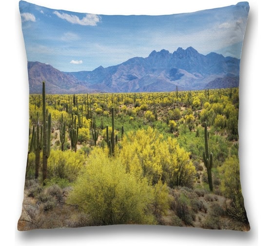 Декоративная наволочка JoyArty sl_10858