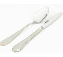 Столовые приборы Удачная покупка TJDS01