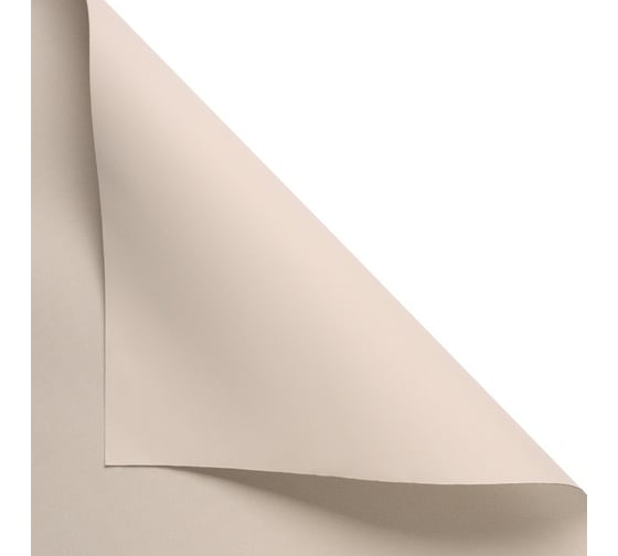 Рулонная штора PRAKTO Blackout Color 140x175 см бежевый 8311039