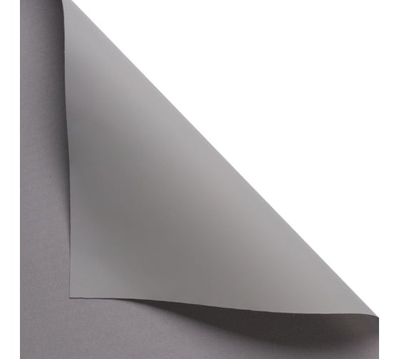 Рулонная штора PRAKTO Blackout Color 100x160 см серый 8311398