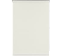 Рулонная штора PRAKTO Easy 40x160 см белый 8315211