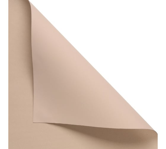 Рулонная штора PRAKTO Blackout Color 100x160 см какао 8311138