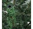 Ель Royal Christmas KANSAS PVC WRAPPED 120 см 953120 4