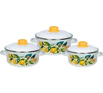 Эмалированный набор посуды СТАЛЬЭМАЛЬ 05 Лимоны в цвету 3 предмета, белоснежный ТП16637