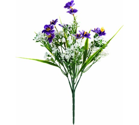 Цветок Волшебная страна Фиалка полевая 003839